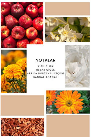 Ixora K326 Orange Edp Kadın Parfüm 100 ml