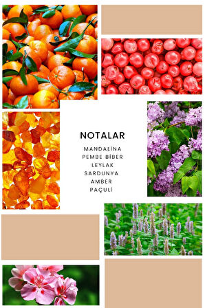 Ixora K313 Ballerine Edp Kadın Parfüm 100 ml