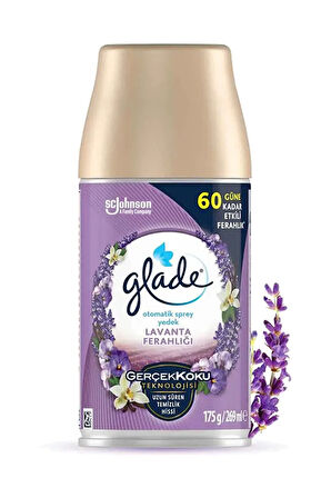 Oda Kokusu Yedek Sprey Lavanta 3 x 269 ml./175gr.