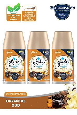 Oda Kokusu Yedek Sprey Oryantal 3 x 269 ml./175gr.