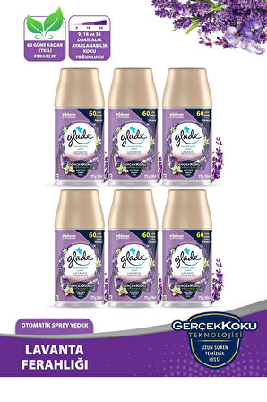 Oda Kokusu Yedek Sprey Lavanta 6 x 269 ml./175gr.