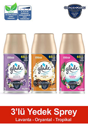 Oda Kokusu Yedek Sprey Lavanta Ferahlığı, Oryantal, Tropikal Floral, 3 x 269 ml./175gr.