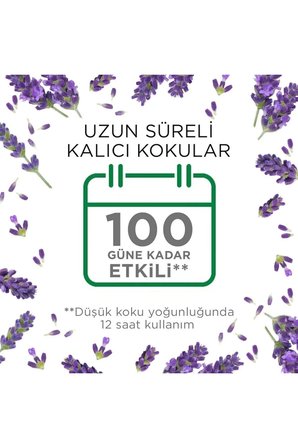 Elektrikli Oda Kokusu Kit Set Vanilya Kit + Lavanta Kit (2 Cihaz 2 Koku)