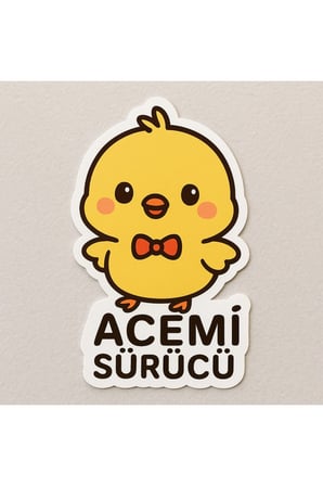 Acemi sürücü sticker çıkartma 15x5 cm