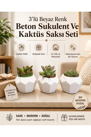 Hediyelik 3'lü Beyaz Renk Beton Sukulent Ve Kaktüs Saksı Seti (Çiçekler Dahil)
