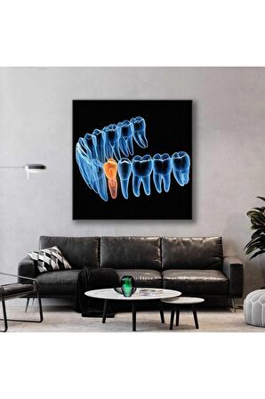 Dişçi Diş Hekimi Ofisi Gülüş Tasarımı Dentist Kanvas Tablo T