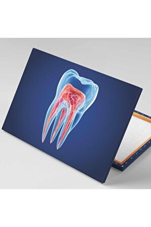 Diş Kanalları Diş Hekimi Ofisi Ağız Ve Diş Sağlığı Kanvas Tablo T2022182