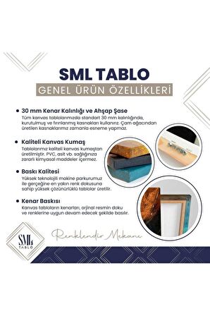 Emlak Ofisi Real Estate Şehir Manzarası Bahçeli Ev Kanvas Tablo