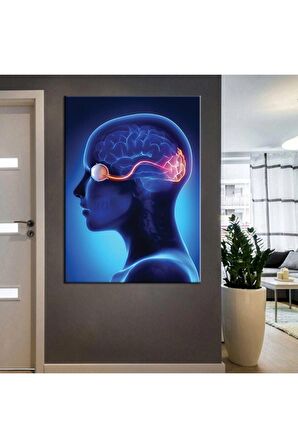 Poliklinik Klinik Hastane Dekorasyonu Medikal Hastane Tabloları KanvasSepeti