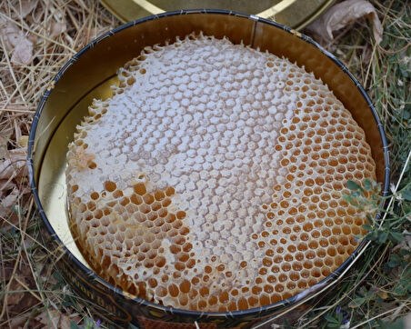 Şehr-i Şemdinli Doğal Karakovan Balı 1300gr