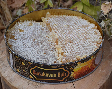 Şehri Şemdinli Doğal Karakovan Balı 1 kg