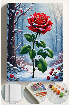 Sayılarla Boyama Tuval Seti Fırça Boya Dahil (Çıtalı) 40x50 CM - Karda Gül