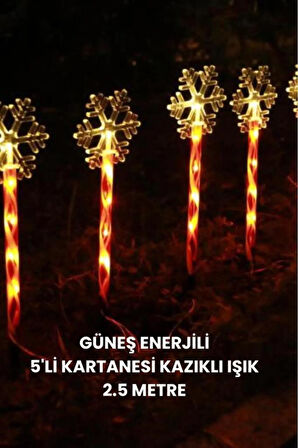 Kartanesi Solar LED Işık, Cadılar Bayramı Güneş Enerjili Noel Zemin Yürüyüş Yolu Işığı