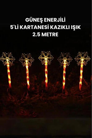 Kartanesi Solar LED Işık, Cadılar Bayramı Güneş Enerjili Noel Zemin Yürüyüş Yolu Işığı