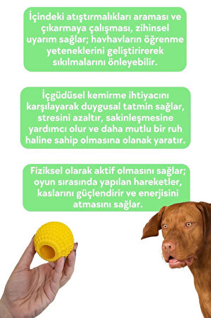 Havhav Sarı Renkli Doğal Kauçuk Mama Saklamalı Köpek Oyun Topu