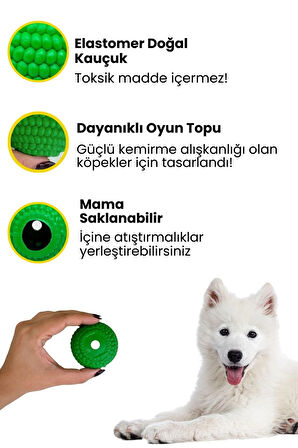 Havhav Yeşil Renkli Doğal Kauçuk Mama Saklamalı Köpek Oyun Topu