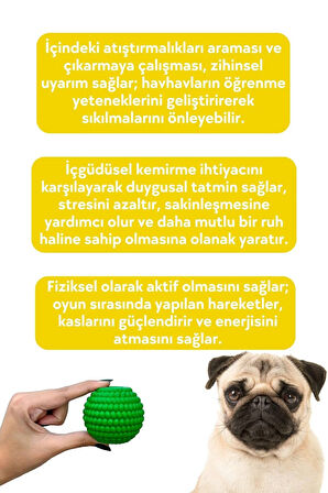 Havhav Yeşil Renkli Doğal Kauçuk Mama Saklamalı Köpek Oyun Topu