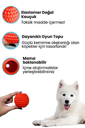 Havhav Turuncu Renkli Doğal Kauçuk Mama Saklamalı Köpek Oyun Topu