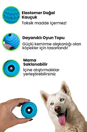 Havhav Turkuaz Renkli Doğal Kauçuk Mama Saklamalı Köpek Oyun Topu