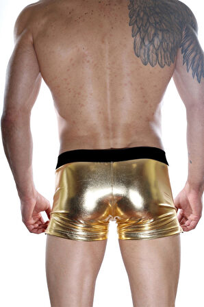 Erkek Etkileyici Boxer