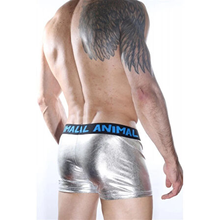 Etkileyici Erkek Boxer