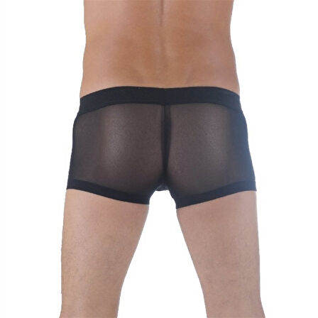 Tegan DM291137 Transparan Erkek Boxer