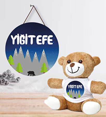 Kişiye Özel Bebek Kapı Süsü (Peluş Ayıcık Hediyeli) – Baby Shower / Hastane Odası