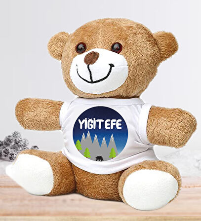 Kişiye Özel Bebek Kapı Süsü (Peluş Ayıcık Hediyeli) – Baby Shower / Hastane Odası