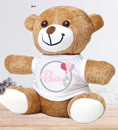 Kişiye Özel Bebek Kapı Süsü (Peluş Ayıcık Hediyeli) – Baby Shower / Hastane Odası