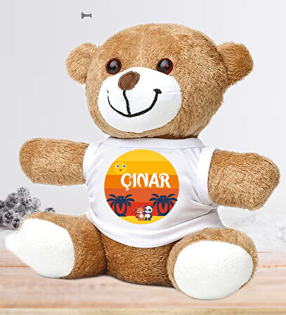 Kişiye Özel Bebek Kapı Süsü (Peluş Ayıcık Hediyeli) – Baby Shower / Hastane Odası