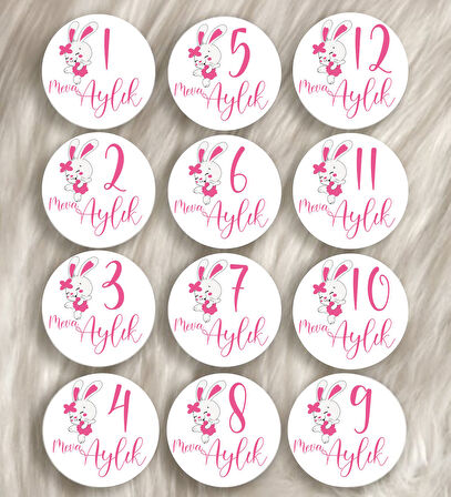 12 Aylık Ahşap Plak Seti  Bebek Aylık Fotoğraf Kartları