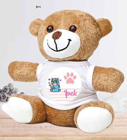 Kişiye Özel Bebek Kapı Süsü (Peluş Ayıcık Hediyeli) – Baby Shower / Hastane Odası