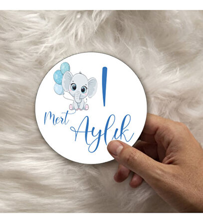 12 Aylık Ahşap Plak Seti Bebek Aylık Fotoğraf Kartları