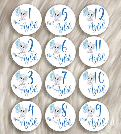 12 Aylık Ahşap Plak Seti Bebek Aylık Fotoğraf Kartları