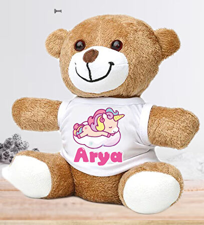 Kişiye Özel Bebek Kapı Süsü (Peluş Ayıcık Hediyeli) – Baby Shower / Hastane Odası