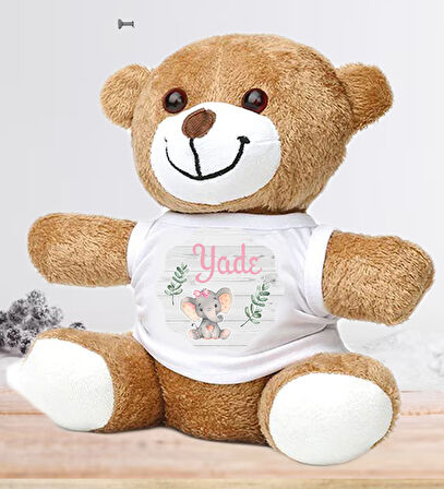 Kişiye Özel Bebek Kapı Süsü (Peluş Ayıcık Hediyeli) – Baby Shower / Hastane Odası