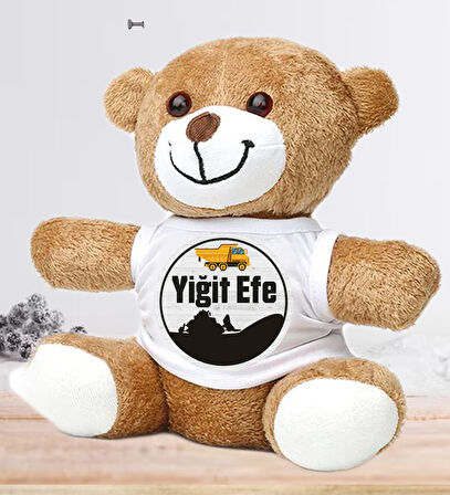 Kişiye Özel Bebek Kapı Süsü (Peluş Ayıcık Hediyeli) – Baby Shower / Hastane Odası