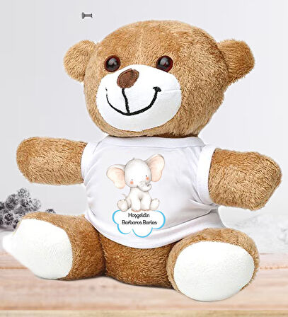 Kişiye Özel Bebek Kapı Süsü (Peluş Ayıcık Hediyeli) – Baby Shower / Hastane Odası