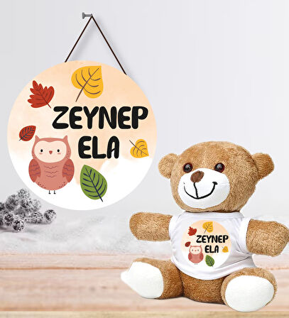 Kişiye Özel Bebek Kapı Süsü (Peluş Ayıcık Hediyeli) – Baby Shower / Hastane Odası