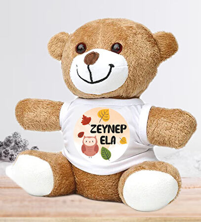 Kişiye Özel Bebek Kapı Süsü (Peluş Ayıcık Hediyeli) – Baby Shower / Hastane Odası