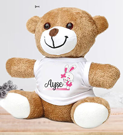 Kişiye Özel Bebek Kapı Süsü (Peluş Ayıcık Hediyeli) – Baby Shower / Hastane Odası