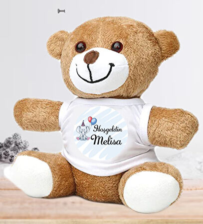 Kişiye Özel Bebek Kapı Süsü (Peluş Ayıcık Hediyeli) – Baby Shower / Hastane Odası