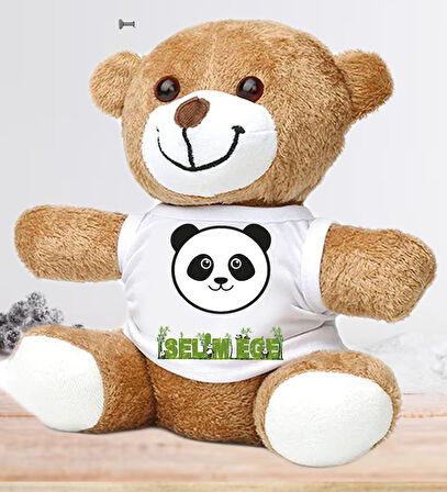 Kişiye Özel Bebek Kapı Süsü (Peluş Ayıcık Hediyeli) – Baby Shower / Hastane Odası