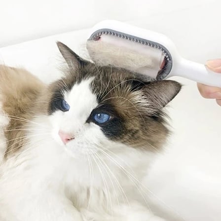 Mey İthalat® Kedi Köpek Tüy Toplama Tarağı