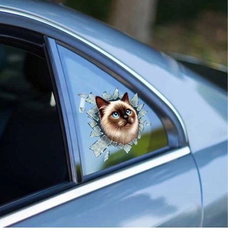 Mey İthalat® Fulcar Siamesse Araç Stickerı