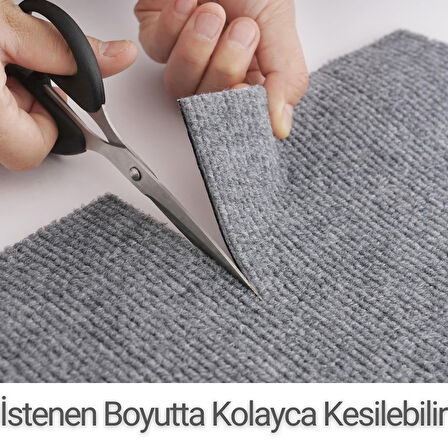 Beylini Kedi Tırmalama Halısı Yapışkanlı Her Yüzeye Uygulanabilir Kesilebilir Mobilya Koruyucu Mat (40X50)