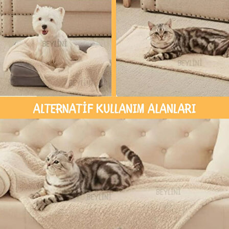 Beylini Kedi Köpek Battaniyesi Premium Peluş Evcil Hayvan Uyku Battaniyesi Yıkanabilir Krem