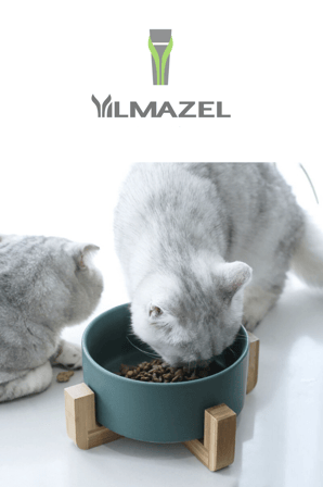 Kedi Mama-Su Kabı Çevre Dostu Seramik Ve Doğal Ahşaptan