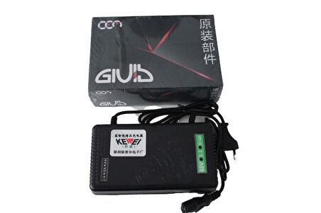 Kewei 48V 14 Ah Elektrikli Bisiklet Şarj Cihazı Aleti Adaptör