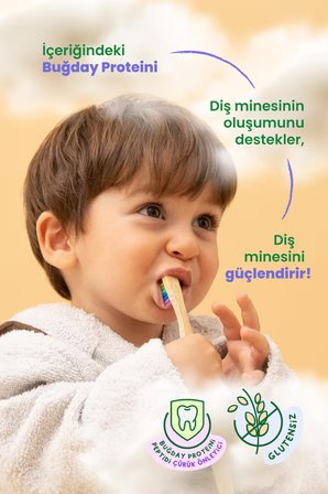Probident Doğal Şeftali Aromalı Aktif Probiyotikli Çürük Önleyici Buğday Protein Peptidli Diş Macunu